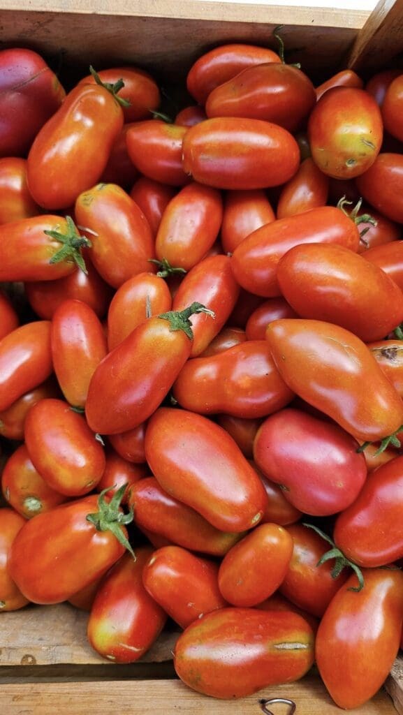 glen initiative garden