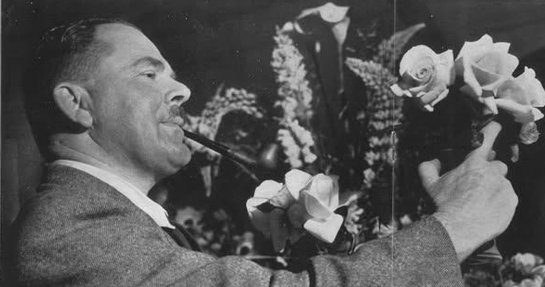 Dr Buddee final (002)