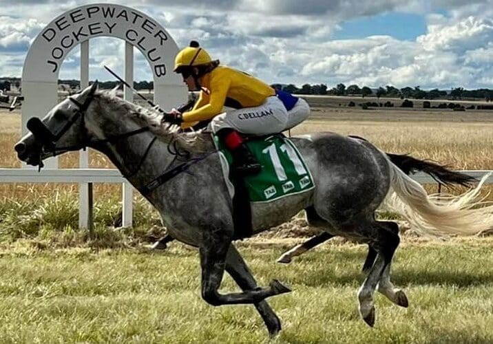 Deepwater Races Celebrating 160 Years Of Country Horse Racing