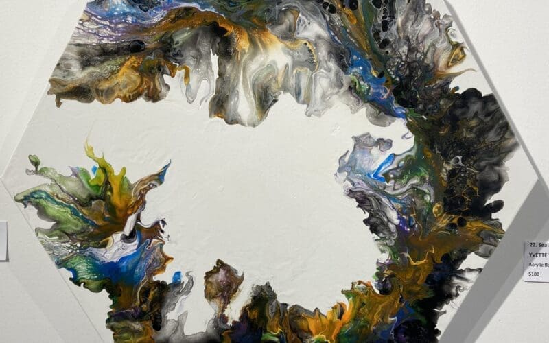 Glen Innes Art Gallery Inc – March Update