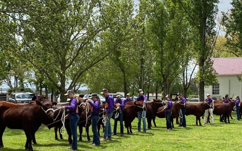 Young Cattle Enthusiasts Invited to National Red Poll Youth Camp