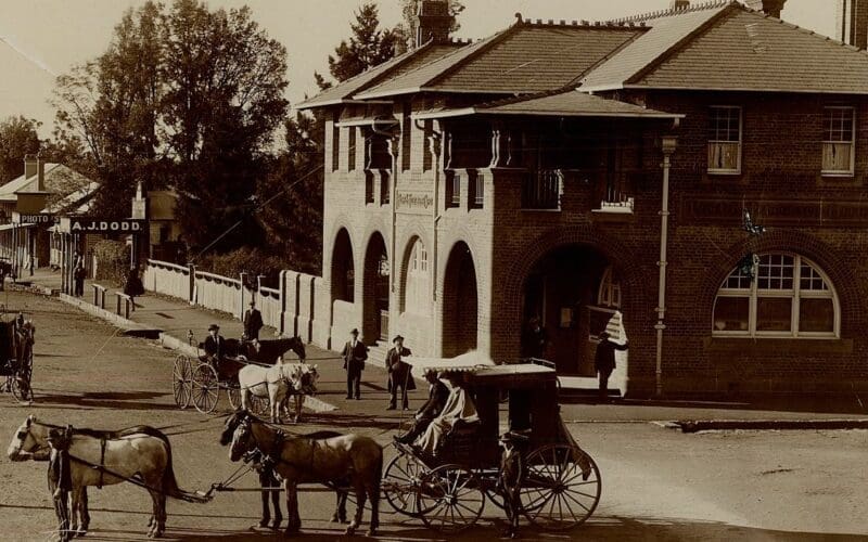 Our Local History: Early days of Timbs Pharmacy
