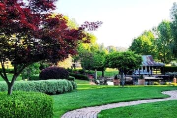 Garden Festival next Friday 31st