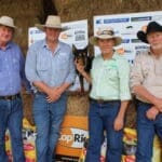 Overton Fire Top Price Pic