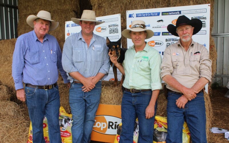 Overton Fire Top Price Pic