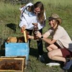 1 Pindari Centre Girl with a jar of Honey Homesteading at Pindari Dam