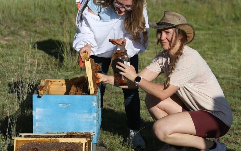 1 Pindari Centre Girl with a jar of Honey Homesteading at Pindari Dam