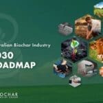 biochar roadmap